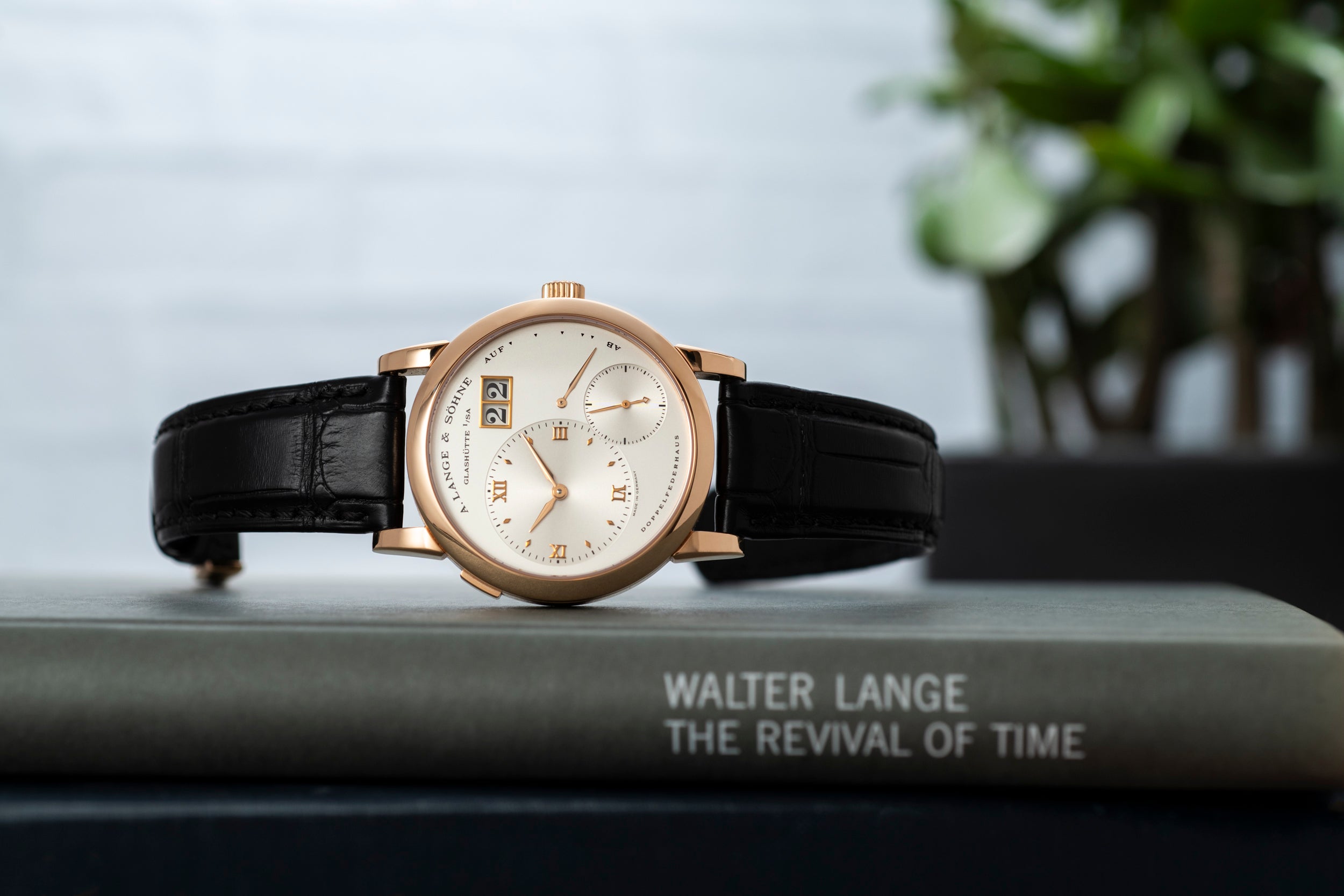 Lange on sale