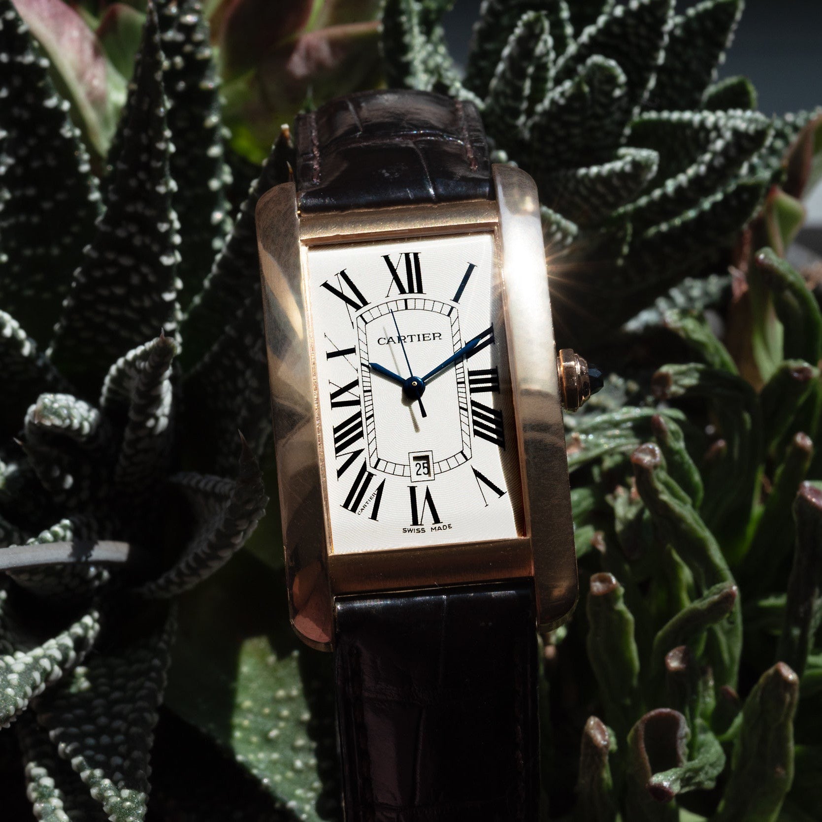 Cartier Tank Americaine Analog Shift