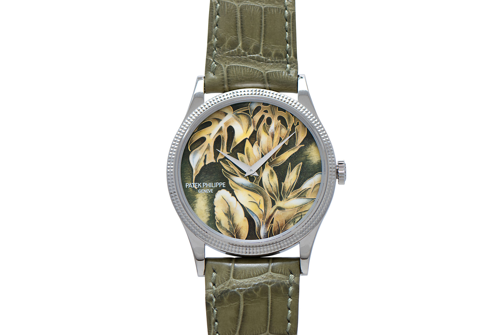 Patek Philippe Calatrava Cloisonné 'Tropical Leaves II'