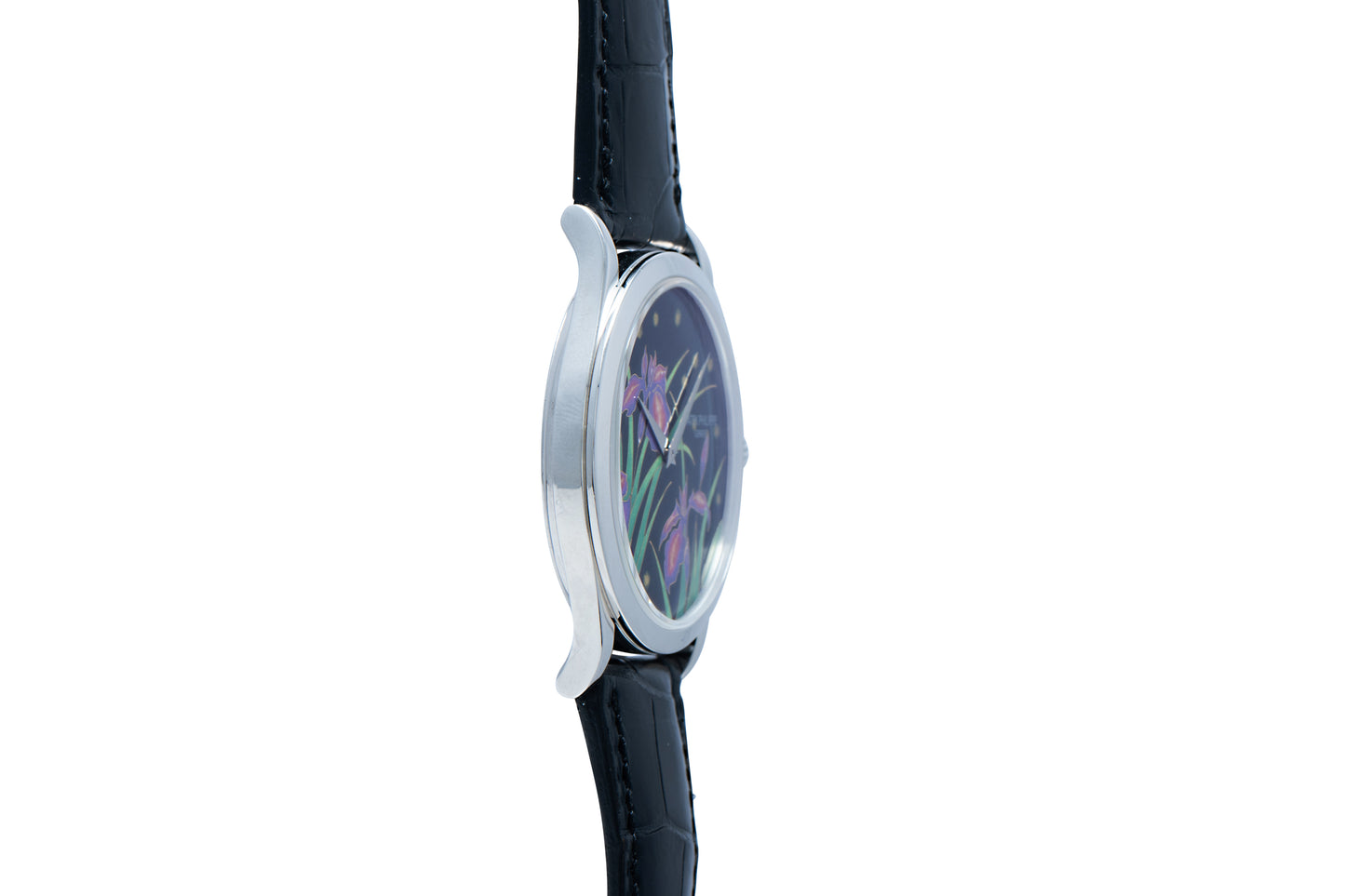 Patek Philippe Calatrava Cloisonné 'Iris & Night Fireflies'