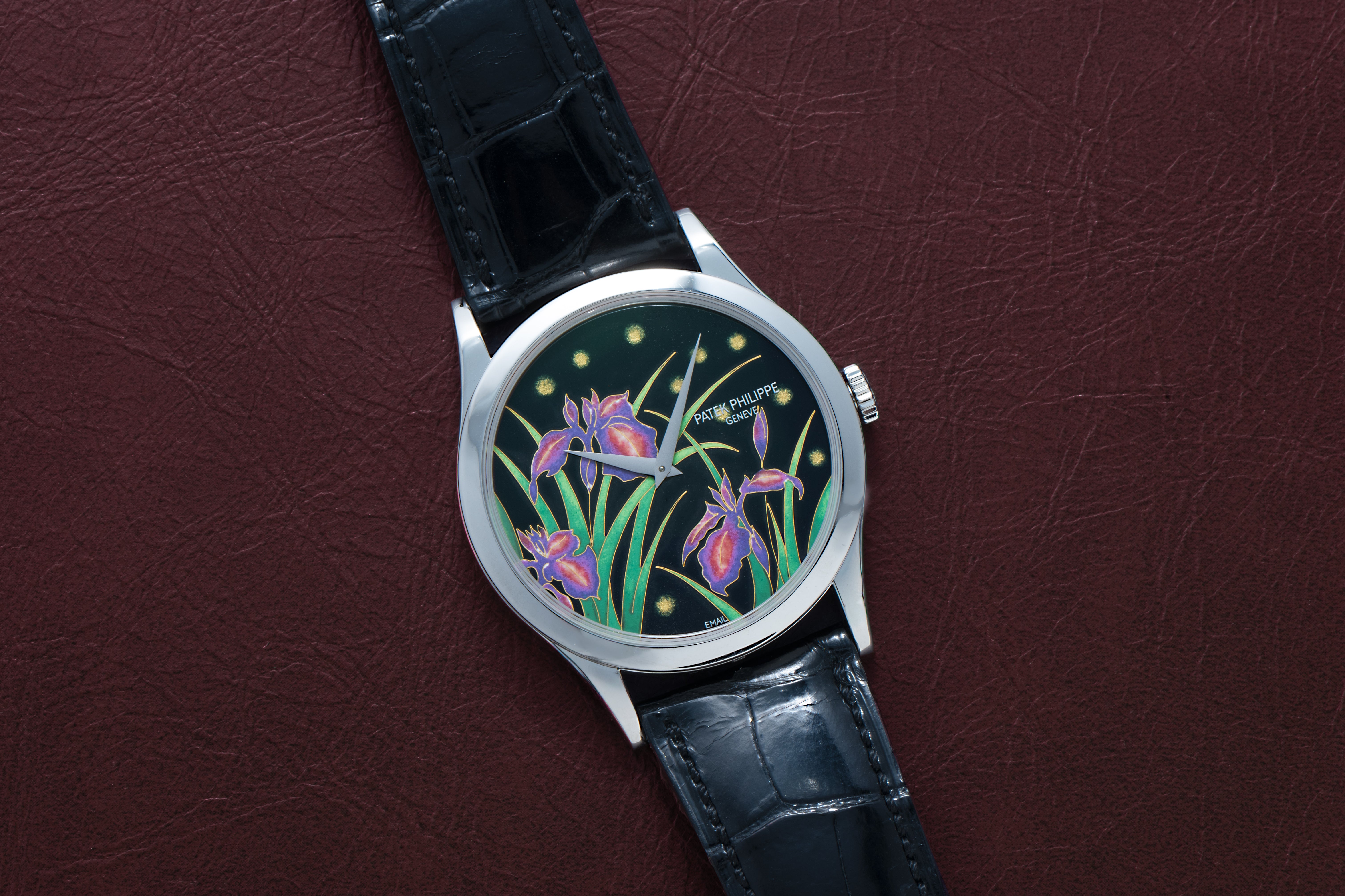 Patek Philippe Calatrava Cloisonné 'Iris & Night Fireflies'