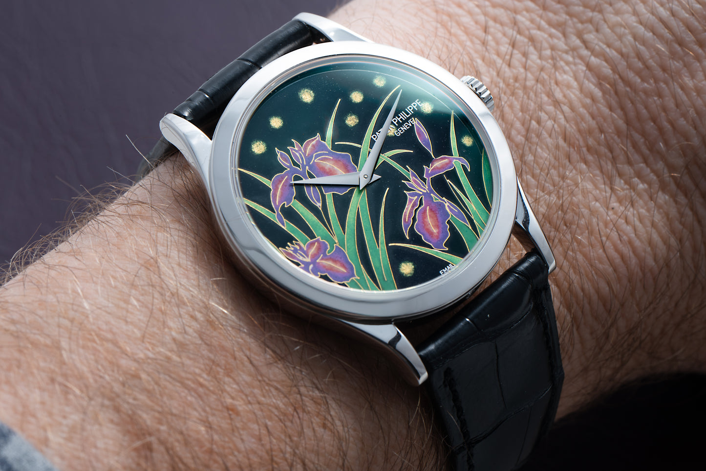 Patek Philippe Calatrava Cloisonné 'Iris & Night Fireflies'