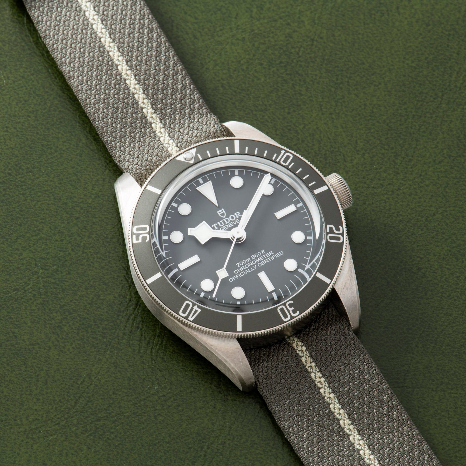 Tudor Black Bay 58 Silver